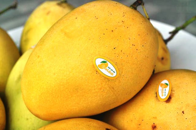 aa