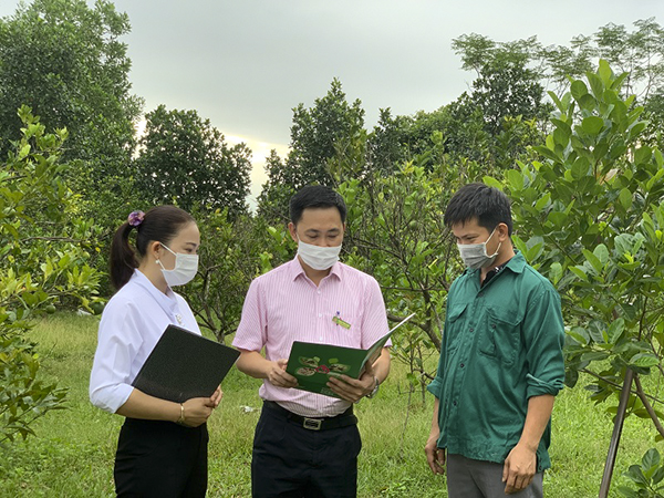 C&amp;aacute;n bộ Ph&amp;ograve;ng giao dịch NHCSXH huyện Triệu Sơn r&amp;agrave; so&amp;aacute;t, kiểm tra t&amp;igrave;nh h&amp;igrave;nh sử dụng vốn vay tại x&amp;atilde; Hợp Th&amp;agrave;nh