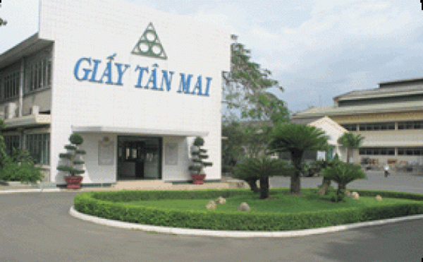 Bị chặn hóa đơn vì nợ thuế, Tân Mai Group lại chịu phạt hàng trăm triệu đồng