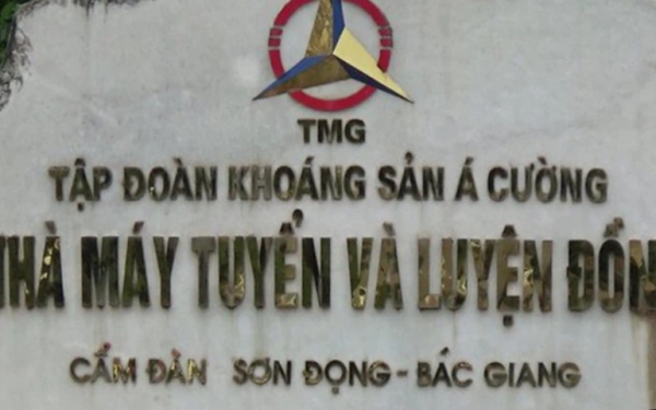 Đưa cổ phiếu ACM của Khoáng sản Á Cường vào diện kiểm soát