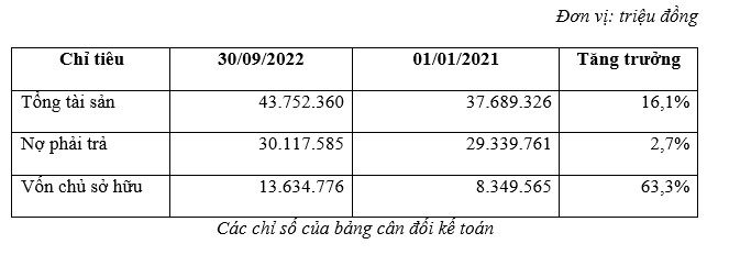 C&amp;aacute;c chỉ số của bảng c&amp;acirc;n đối kế to&amp;aacute;n