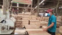 Một số sản phẩm có nguy cơ bị điều tra phòng vệ thương mại của Hoa Kỳ
