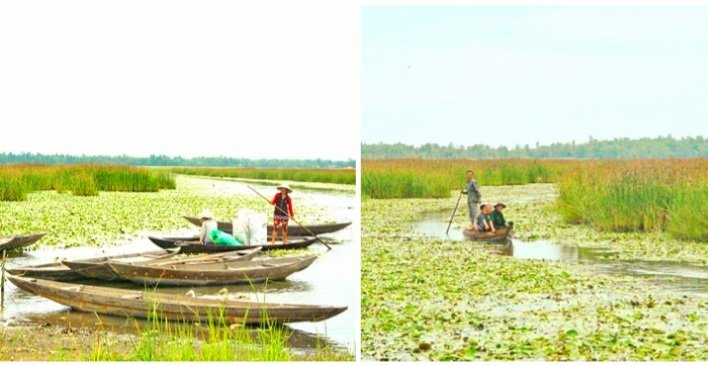 B&amp;atilde;i sậy &amp;ndash; S&amp;ocirc;ng Đầm, kh&amp;ocirc;ng những c&amp;oacute; hệ sinh th&amp;aacute;i nước ngọt đa dạng, phong ph&amp;uacute; đặc trưng của khu vực Nam Trung Bộ. Nơi đ&amp;acirc;y gắn với quần thể di t&amp;iacute;ch địa đạo Kỳ Anh