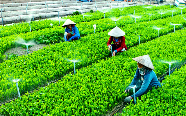 Phong tr&amp;agrave;o n&amp;ocirc;ng d&amp;acirc;n thi đua sản xuất v&amp;agrave; kinh doanh hiệu quả, đo&amp;agrave;n kết