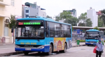 Sở GTVT đề xuất điều chỉnh giá vé xe buýt đối với các tuyến có trợ giá từ 2024