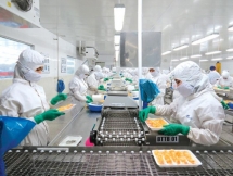 Lợi nhuận sau thuế hợp nhất quý III của Thực phẩm Sao Ta tăng 12% so với cùng kỳ