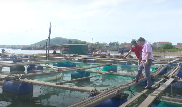 Nhờ nguồn vốn vay ưu đ&amp;atilde;i từ Ng&amp;acirc;n h&amp;agrave;ng CSXH thị x&amp;atilde; Ho&amp;agrave;ng Mai, gia đ&amp;igrave;nh &amp;ocirc;ng B&amp;ugrave;i Văn Ngọc, tr&amp;uacute; tại khối T&amp;acirc;n Tiến, phường Quỳnh Phương đ&amp;atilde; c&amp;oacute; điều kiện mở rộng m&amp;ocirc; h&amp;igrave;nh nu&amp;ocirc;i trồng thuỷ hải sản mang lại hiệu quả kinh tế cao