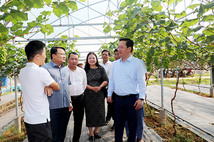 Chủ tịch UBND tỉnh Nghệ An Nguyễn Đức Trung thăm m&amp;ocirc; h&amp;igrave;nh sản xuất n&amp;ocirc;ng nghiệp c&amp;ocirc;ng nghệ cao của C&amp;ocirc;ng ty TNHH H&amp;ugrave;ng Cường tại thị x&amp;atilde; Th&amp;aacute;i Ho&amp;agrave; v&amp;agrave; lắng nghe đề xuất của doanh nghiệp