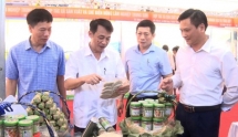Phú Thọ: Thúc đẩy tiêu thụ sản phẩm vùng dân tộc thiểu số và miền núi