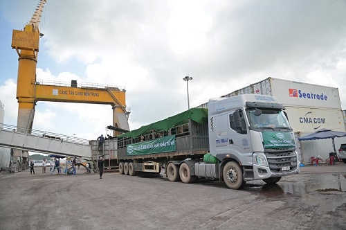 Sau hơn 20 ng&amp;agrave;y vượt Th&amp;aacute;i B&amp;igrave;nh Dương, c&amp;aacute;c c&amp;ocirc; b&amp;ograve; được vận chuyển từ t&amp;agrave;u xuống xe để di chuyển về Trang trại B&amp;ograve; sữa NutiMilk