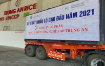 Lãi gộp quý III của Nông nghiệp Công nghệ cao Trung An tăng 75%