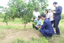 Sản phẩm nông- lâm - thủy sản Nghệ An có rất nhiều tiềm năng để vào các chuỗi siêu thị và xuất khẩu