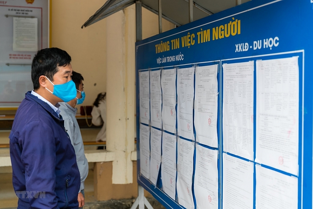 Ảnh minh họa (TTXVN)