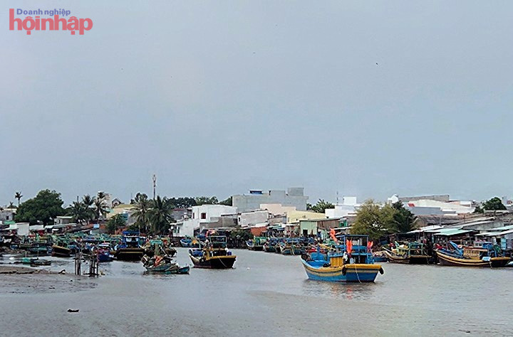 T&amp;agrave;u c&amp;aacute; của ngư d&amp;acirc;n B&amp;igrave;nh Thuận