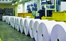 Giấy Việt Nam vẫn chiếm tỷ trọng rất nhỏ trên thị trường mặc dù xuất khẩu liên tục tăng
