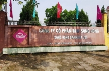 May Sông Hồng sắp chi 225 tỷ đồng để trả cổ tức