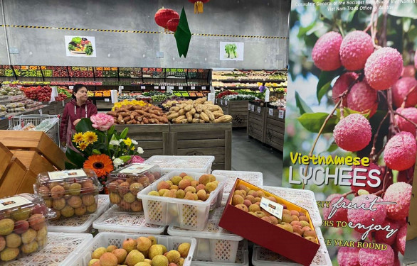 Khánh thành Trung tâm Xúc tiến Đầu tư và Thương mại Việt Nam – Australia