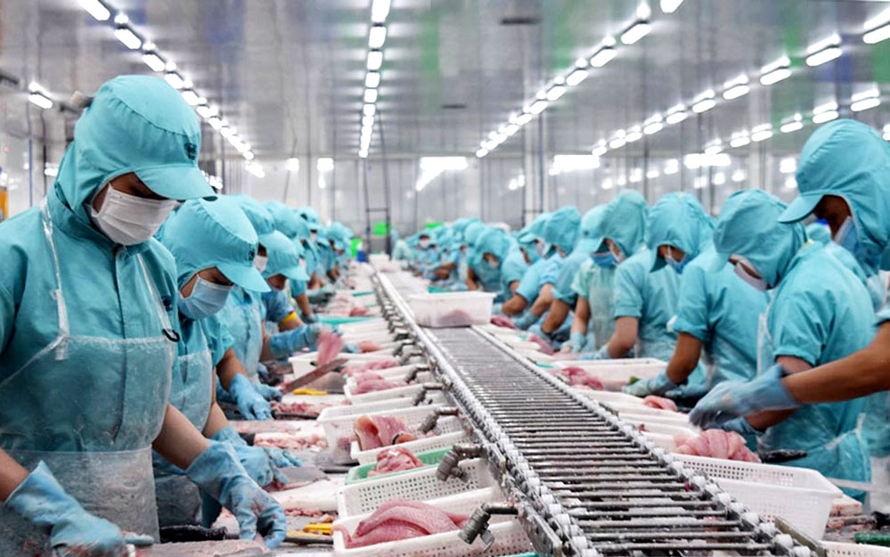 Giải pháp thúc đẩy xuất khẩu thủy sản Việt Nam trong bối cảnh đại dịch Covid-19 Giải pháp thúc đẩy xuất khẩu thủy sản Việt Nam trong bối cảnh đại dịch Covid-19
