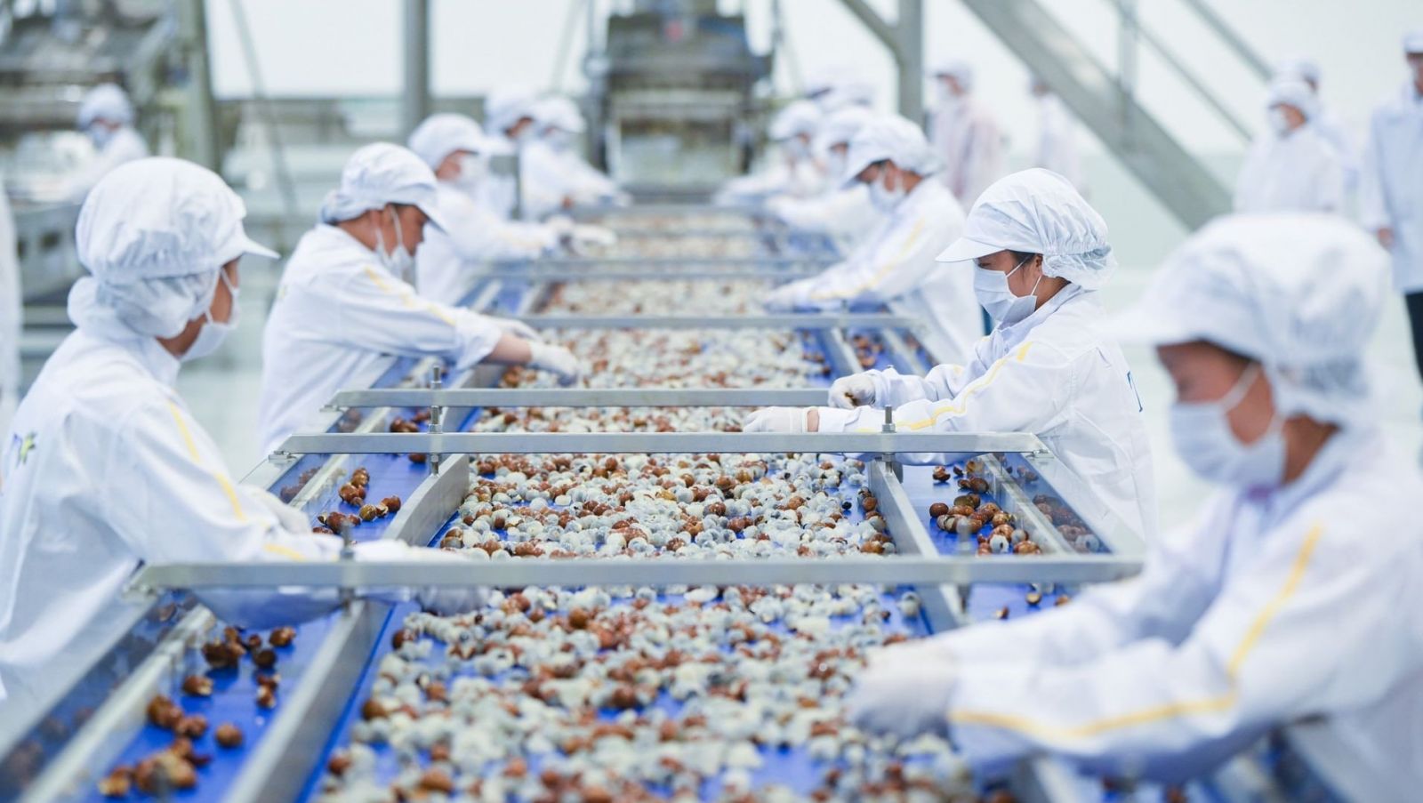 Doanh nghiệp Việt Nam cần chủ động th&amp;iacute;ch ứng với ph&amp;ograve;ng vệ thương mại để phục hồi kinh tế