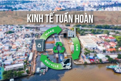 Ảnh minh họa