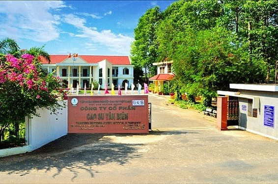 Cao su Tân Biên dự chi gần 132 tỷ đồng tạm ứng cổ tức