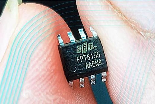 ản phẩm chip được in logo của FPT