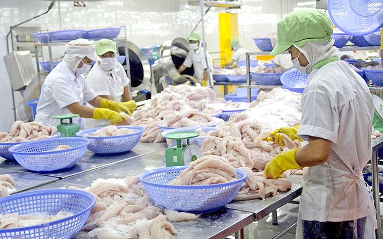 Xuất khẩu cá tra tính đến cuối tháng 10 đã đạt gần 2,2 tỷ USD, tăng 80% so với cùng kỳ năm 2021. Xuất khẩu cá tra tính đến cuối tháng 10 đã đạt gần 2,2 tỷ USD, tăng 80% so với cùng kỳ năm 2021.