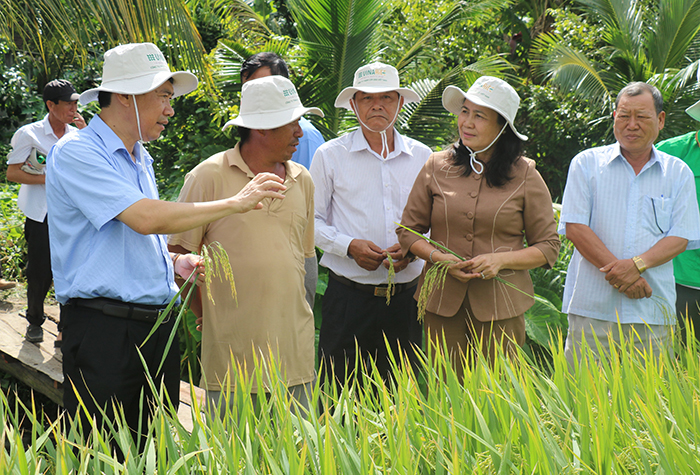 Ảnh minh họa Ảnh minh họa