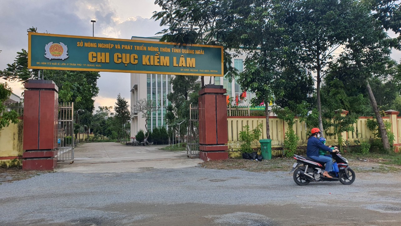 Thanh tra tỉnh chỉ ra tồn tại, sai phạm trong việc chấp h&amp;agrave;nh ph&amp;aacute;p luật về bảo vệ, ph&amp;aacute;t triển rừng từ năm 2018 đến 30/6/2021,