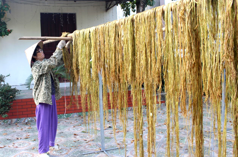 Vỏ c&amp;acirc;y gai xanh được phơi khoảng 3 ng&amp;agrave;y rồi xuất b&amp;aacute;n cho doanh nghiệp chế tạo sợi b&amp;ocirc;ng dệt vải