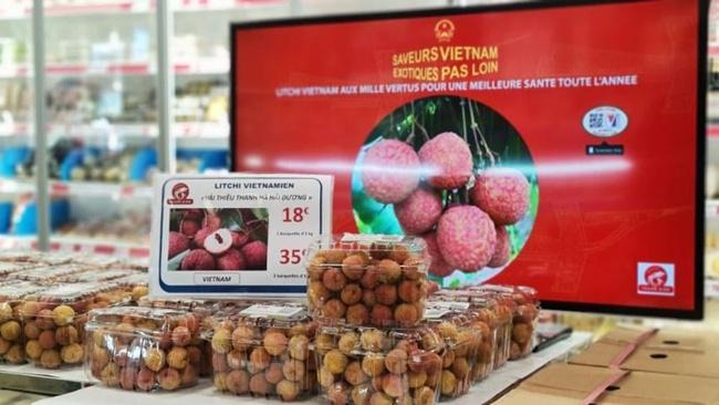 Ảnh minh họa Ảnh minh họa