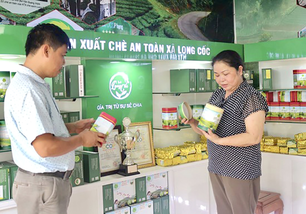 HTX chè an toàn xã Long Cốc đang dần tạo được thương hiệu và chỗ đứng trên thị trường HTX chè an toàn xã Long Cốc đang dần tạo được thương hiệu và chỗ đứng trên thị trường