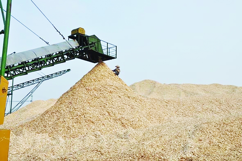 H&amp;agrave; Tĩnh thu lợi lớn từ xuất khẩu gỗ dăm