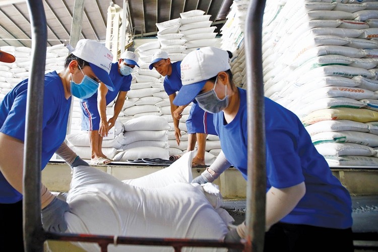 Tr&amp;igrave;nh Ch&amp;iacute;nh phủ sửa đổi Nghị định 107 về kinh doanh xuất khẩu gạo