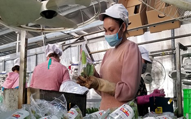 Doanh nghiệp ứng dụng nhiểu c&amp;ocirc;ng nghệ để chế biến c&amp;aacute;c sản phẩm từ n&amp;ocirc;ng nghiệp c&amp;oacute; gi&amp;aacute; trị kinh tế cao