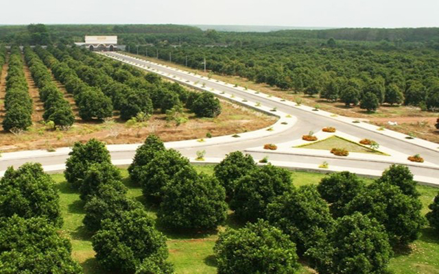 Nhờ kịp thời triển khai nhiều giải ph&amp;aacute;p ứng dụng c&amp;ocirc;ng nghệ, đổi mới s&amp;aacute;ng tạo, ng&amp;agrave;nh n&amp;ocirc;ng nghiệp tỉnh kh&amp;ocirc;ng những kh&amp;ocirc;ng gặp kh&amp;oacute; khăn m&amp;agrave; c&amp;ograve;n tăng trưởng kh&amp;ocirc;ng ngừng. Thậm ch&amp;iacute; nhiều lĩnh vực c&amp;ograve;n được đ&amp;aacute;nh gi&amp;aacute; l&amp;agrave; đi đầu cả nước