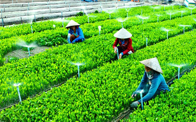 Việc thu h&amp;uacute;t đầu tư v&amp;agrave;o c&amp;aacute;c khu c&amp;ocirc;ng nghiệp đ&amp;atilde; g&amp;oacute;p phần t&amp;iacute;ch cực v&amp;agrave;o việc chuyển đổi cơ cấu kinh tế của tỉnh theo hướng c&amp;ocirc;ng nghiệp h&amp;oacute;a, hiện đại h&amp;oacute;a