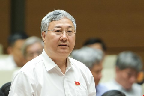 Ảnh minh họa