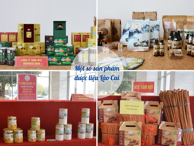 Một số sản phẩm dược liệu L&amp;agrave;o Cai.