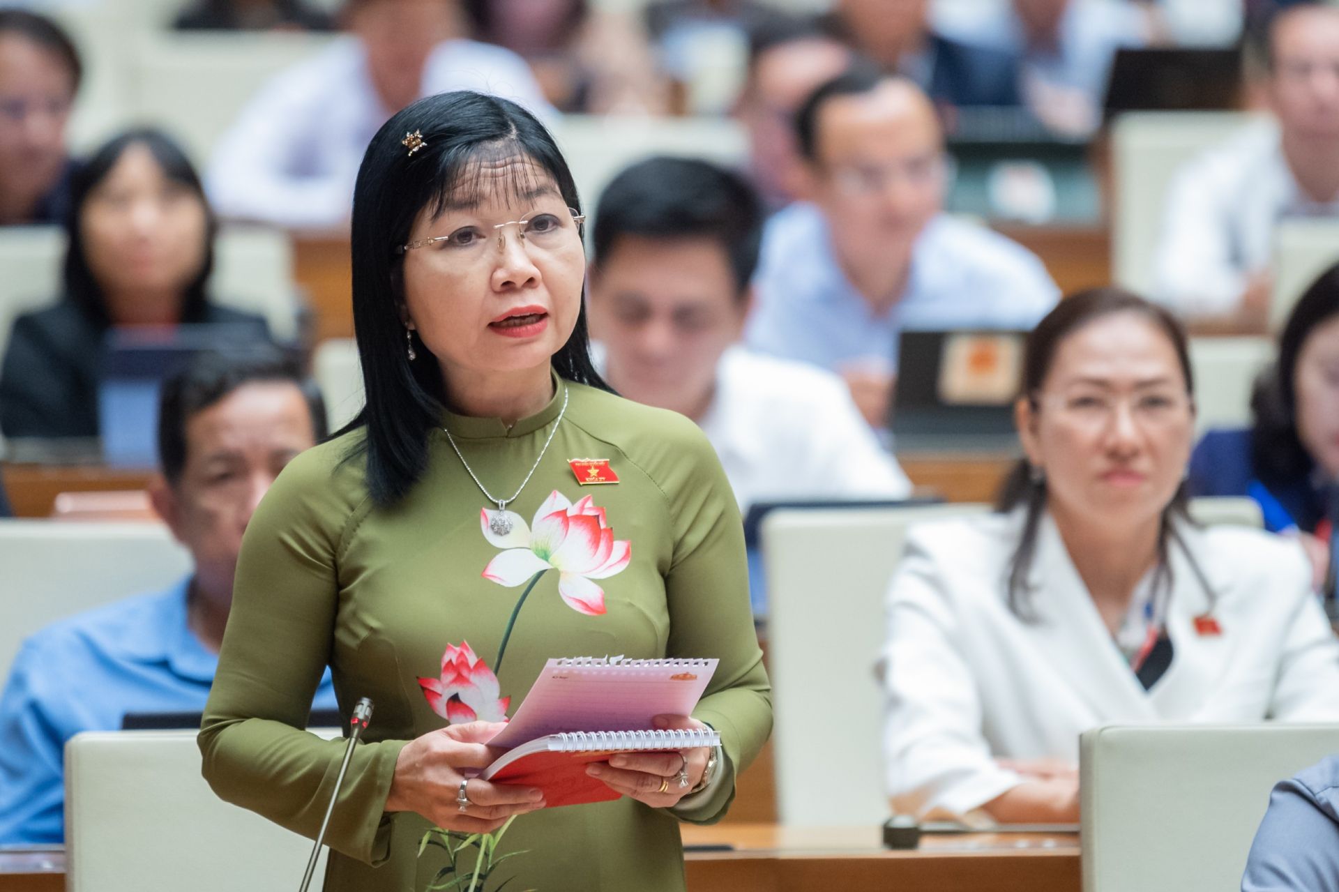 Đại biểu Trần Thị Thanh Hương - Đo&amp;agrave;n đại biểu An Giang