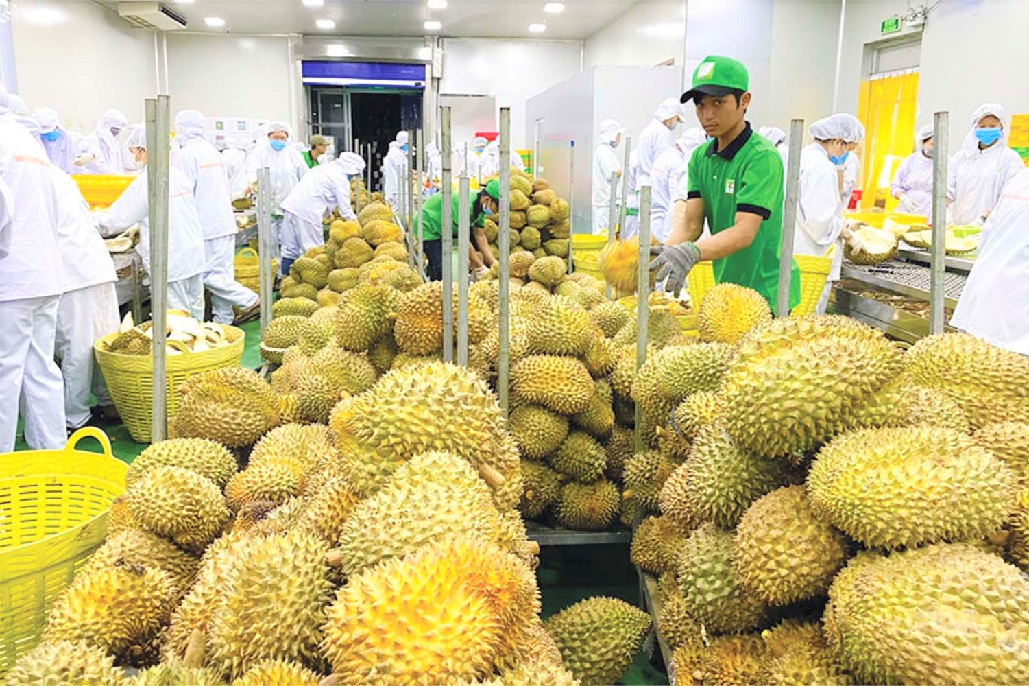 Xuất khẩu rau quả duy tr&amp;igrave; tăng trưởng tốt, cuối năm c&amp;oacute; thể đạt 6 tỷ USD