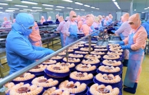 Triển vọng và dư địa rộng mở của thủy sản Việt Nam tại Trung Quốc