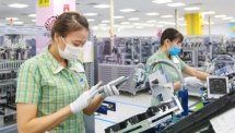 Đến giữa tháng 11, kim ngạch xuất nhập khẩu hàng hóa gần chạm mốc 600 tỷ USD