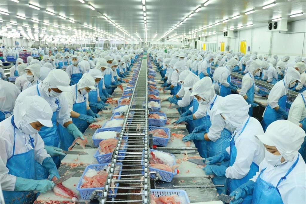 Ng&amp;agrave;nh thủy sản c&amp;oacute; thể về đ&amp;iacute;ch 2023 với kim ngạch xuất khẩu 9 tỷ USD