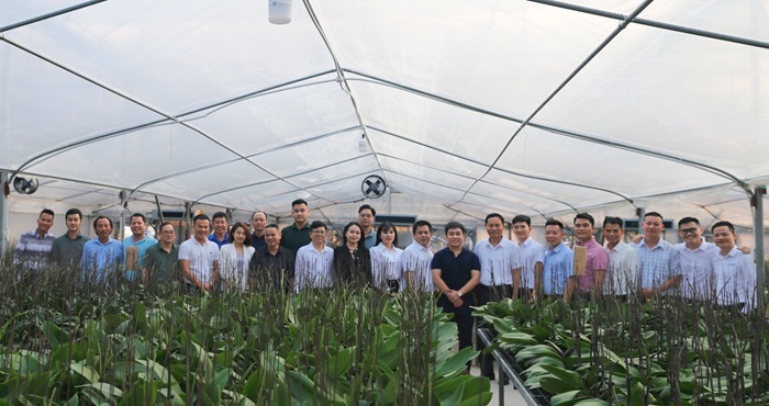 đại diện c&amp;aacute;c doanh nghiệp tham quan m&amp;ocirc; h&amp;igrave;nh trồng lan của một  hộ kinh doanh th&amp;agrave;nh vi&amp;ecirc;n