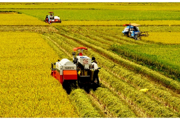 Dự &amp;aacute;n tập huấn cho n&amp;ocirc;ng d&amp;acirc;n, gi&amp;uacute;p họ ph&amp;aacute;t triển v&amp;agrave; thực hiện c&amp;aacute;c m&amp;ocirc; h&amp;igrave;nh sinh kế dựa v&amp;agrave;o lũ &amp;iacute;t rủi ro nhưng c&amp;oacute; lợi nhuận trong v&amp;agrave; ngo&amp;agrave;i bờ bao.