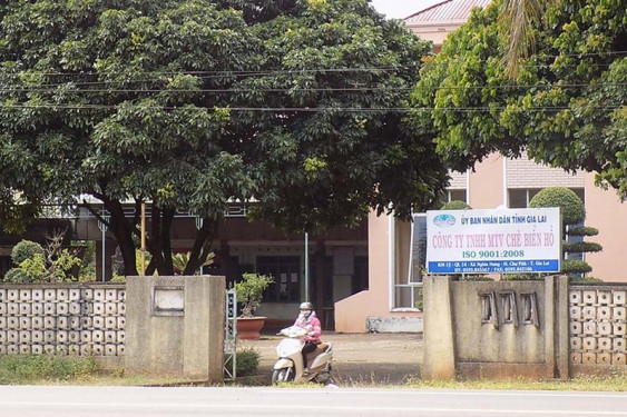 Đức Long Gia Lai muốn thoái 51% vốn tại Cà phê Gia Lai và Chè Biển Hồ