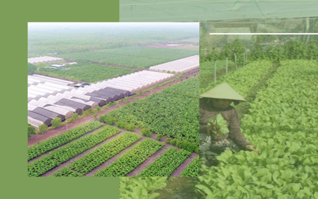 C&amp;aacute;c mặt  h&amp;agrave;ng truyền thống của l&amp;agrave;ng nghề, đặc sản của tỉnh được trưng b&amp;agrave;y, b&amp;aacute;n tr&amp;ecirc;n nền EC B&amp;igrave;nh Dương