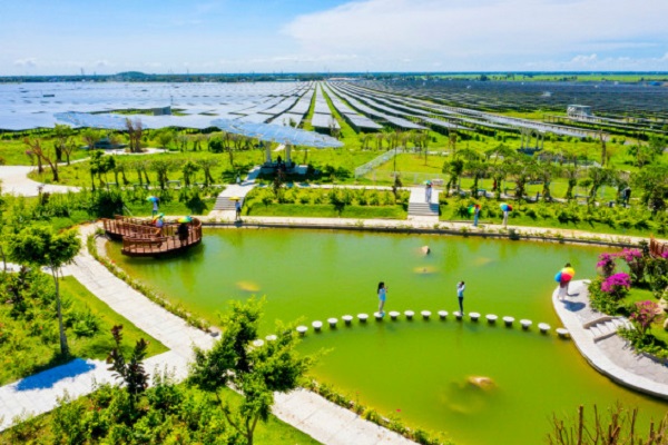 Bức họa &amp;ldquo;Những Đ&amp;agrave;i hướng dương xanh&amp;rdquo; tr&amp;ecirc;n d&amp;atilde;y Thất Sơn