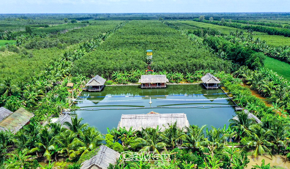D&amp;ugrave; du lịch C&amp;agrave; Mau được ph&amp;eacute;p hoạt động trở lại v&amp;agrave; hạn chế về số lượng du kh&amp;aacute;ch nhưng c&amp;aacute;c điểm du lịch hiện đang kh&amp;aacute; im ắng, e d&amp;egrave; đ&amp;oacute;n kh&amp;aacute;ch. (Trong ảnh: Khu Du lịch sinh th&amp;aacute;i Hương Tr&amp;agrave;m, x&amp;atilde; Kh&amp;aacute;nh An, huyện U Minh). Ảnh: Trần Nguy&amp;ecirc;n
